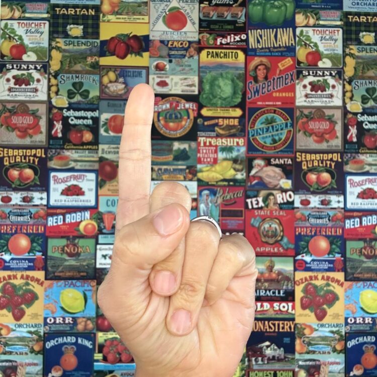 cijfer-1-hand-brenda