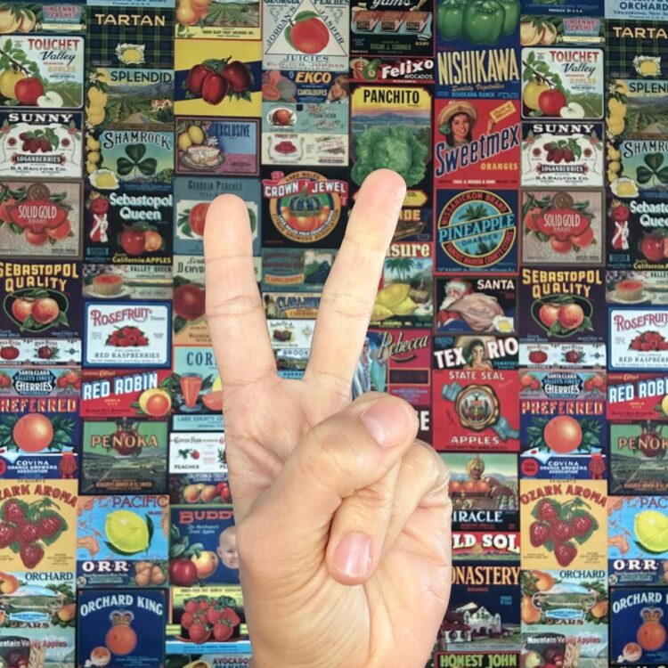 Cijfer 2 hand Brenda