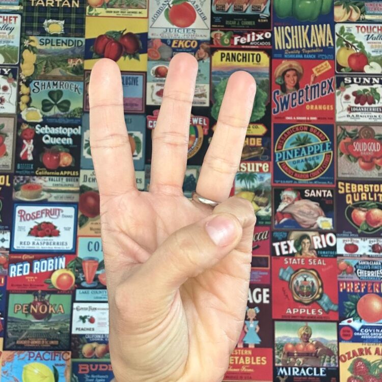 cijfer-3-hand-brenda